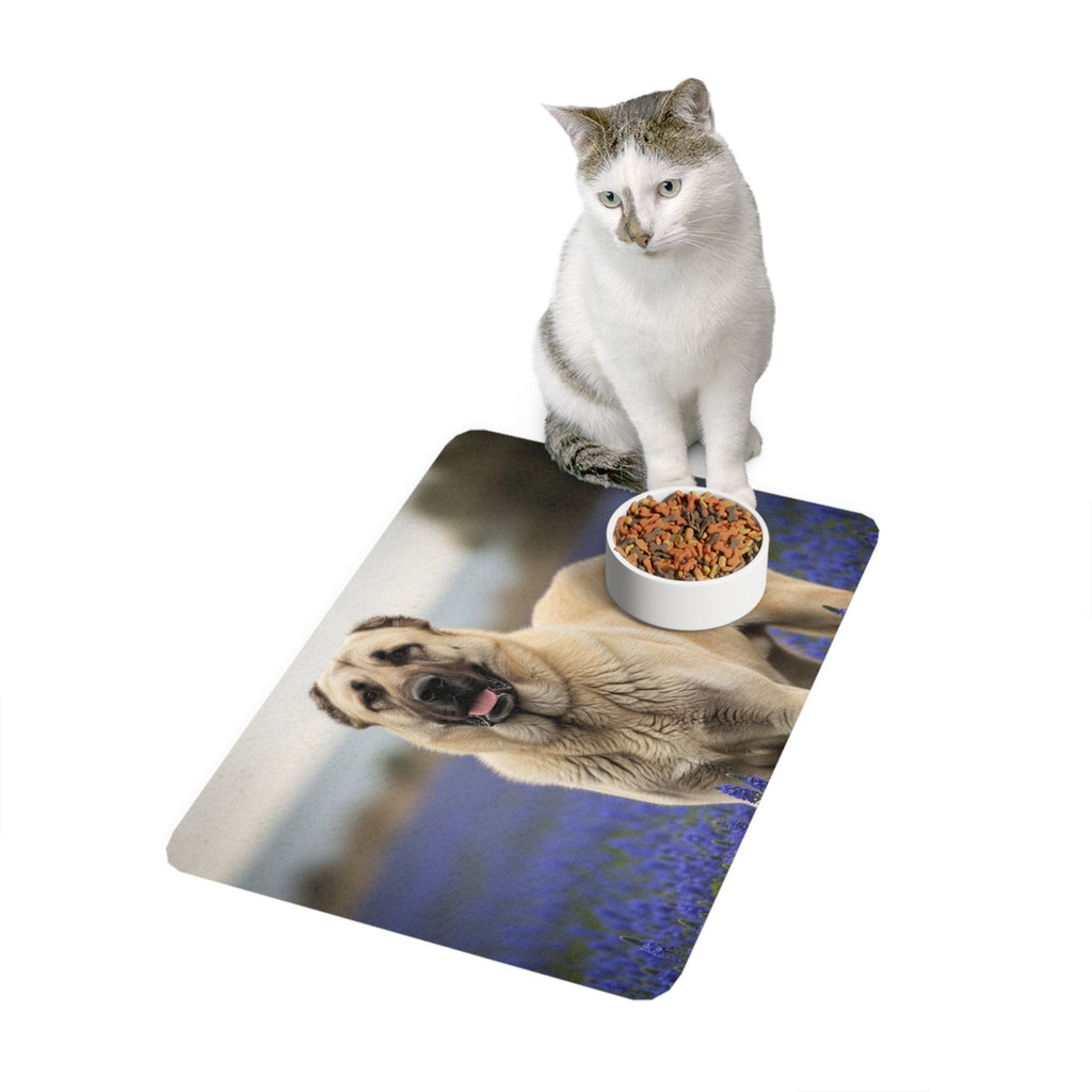 Non-Slip Pet Food Mat – Waterproof Feeding Mat for Dogs
