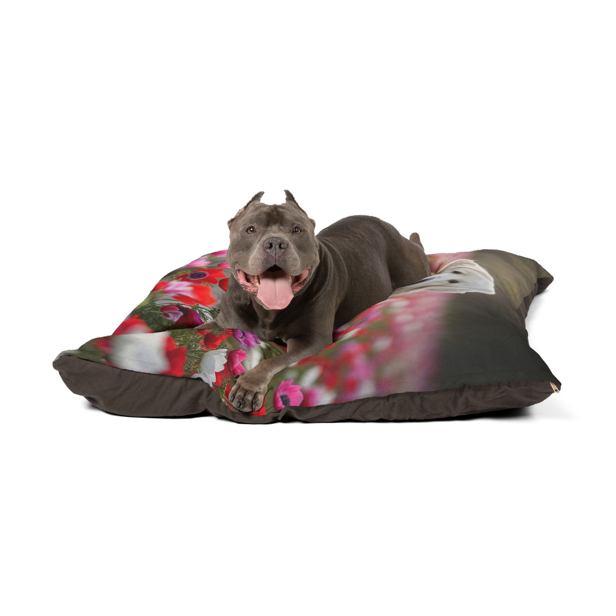 Pet Bed – Plush Dog Bed, 3 Size Options