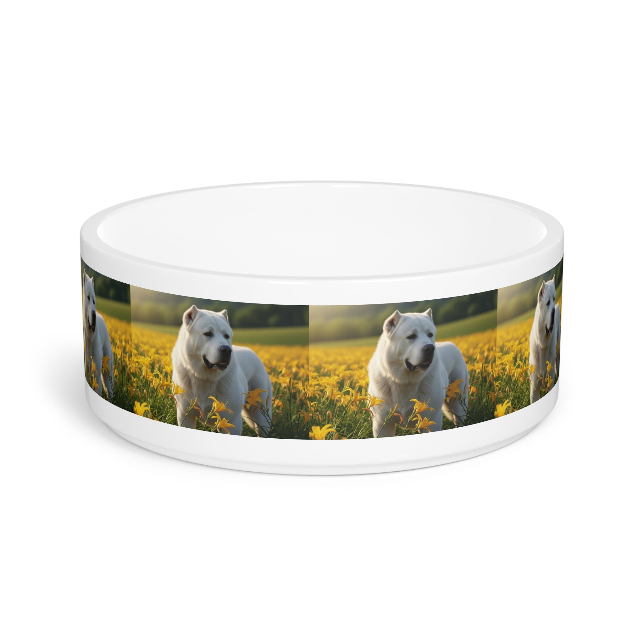 Ceramic Pet Bowl – 16 oz Dog Feeding Bowl
