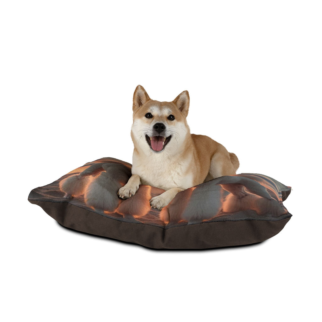 Pet Bed – Plush Dog Bed, 3 Size Options