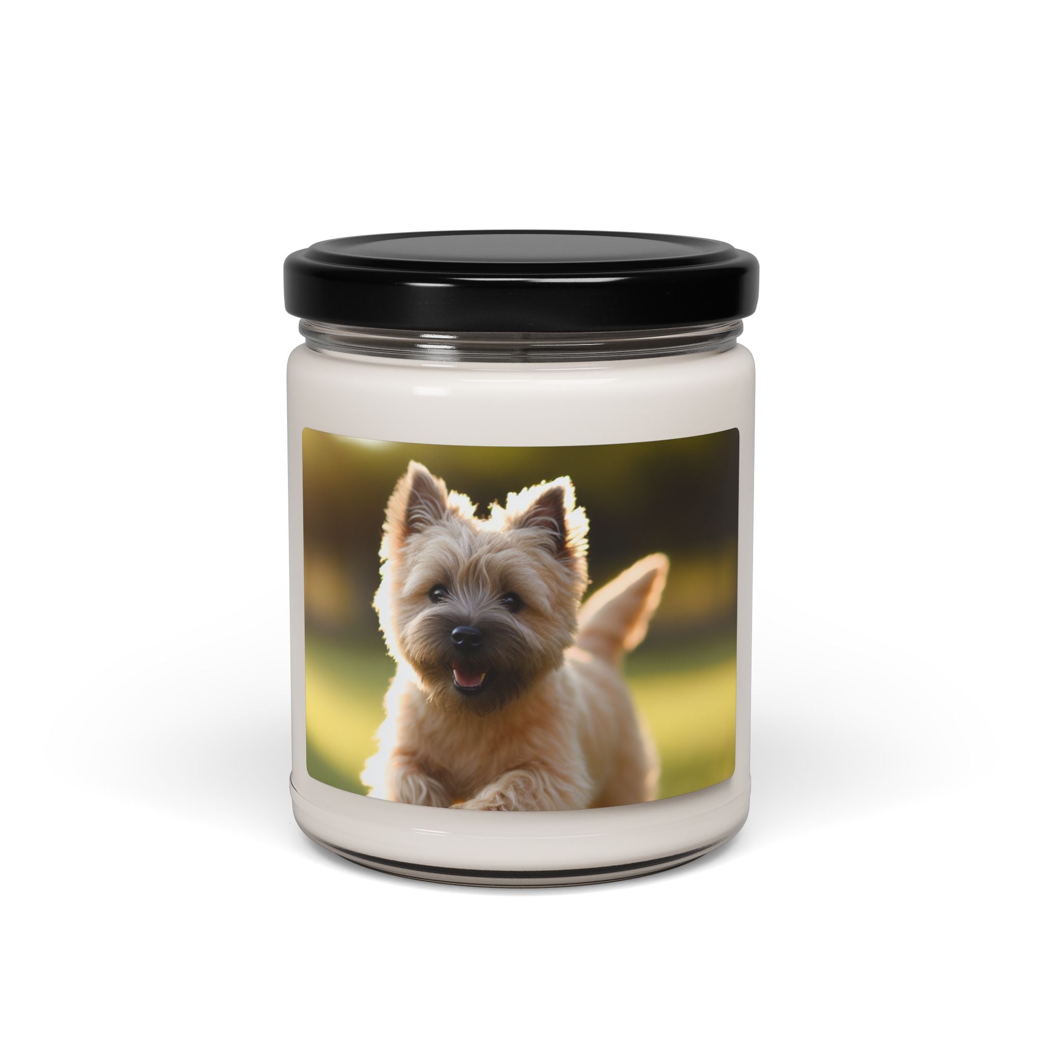 Soy Candle – Scented Jar Candle