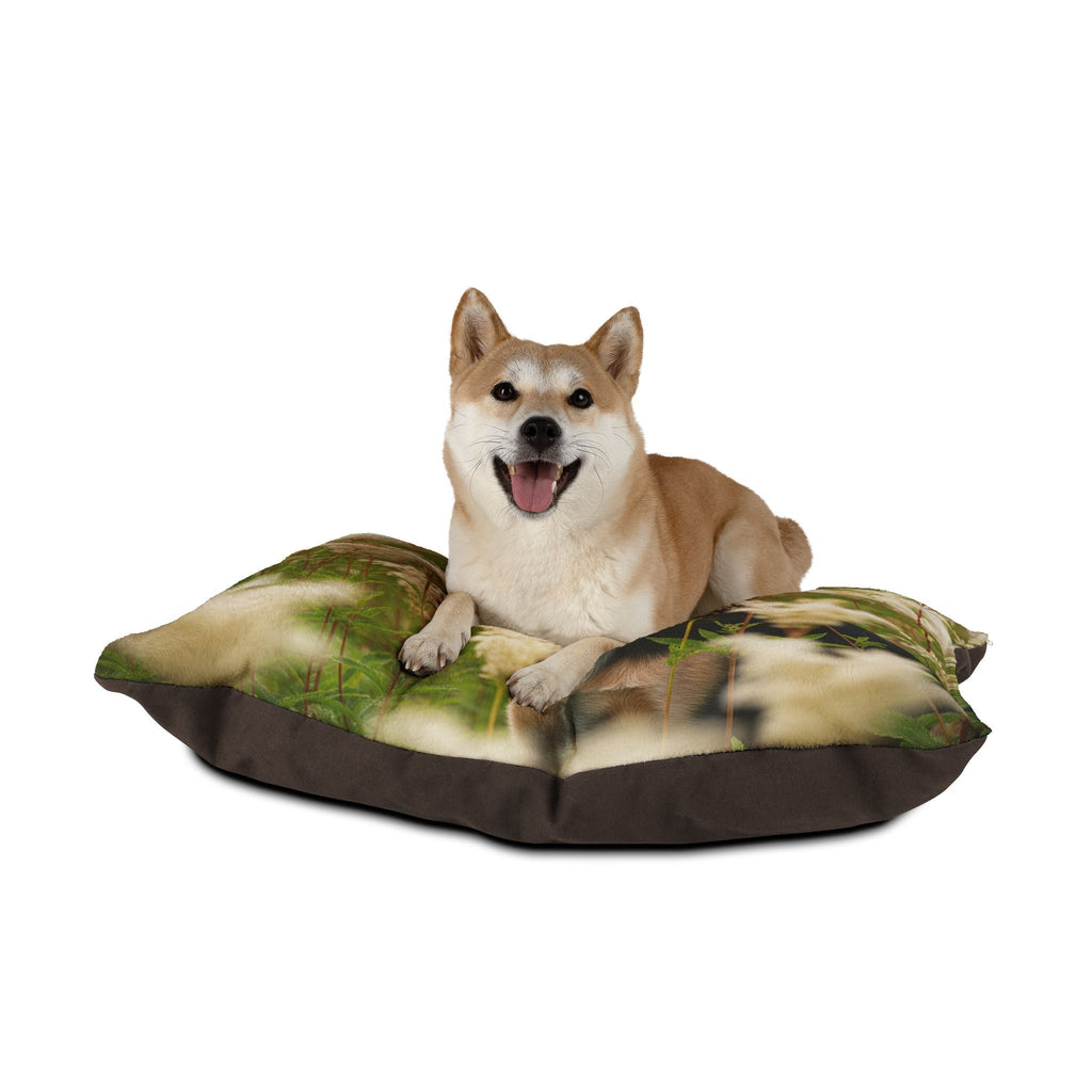 Pet Bed – Plush Dog Bed, 3 Size Options