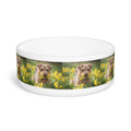 Ceramic Pet Bowl – 16 oz Dog Feeding Bowl
