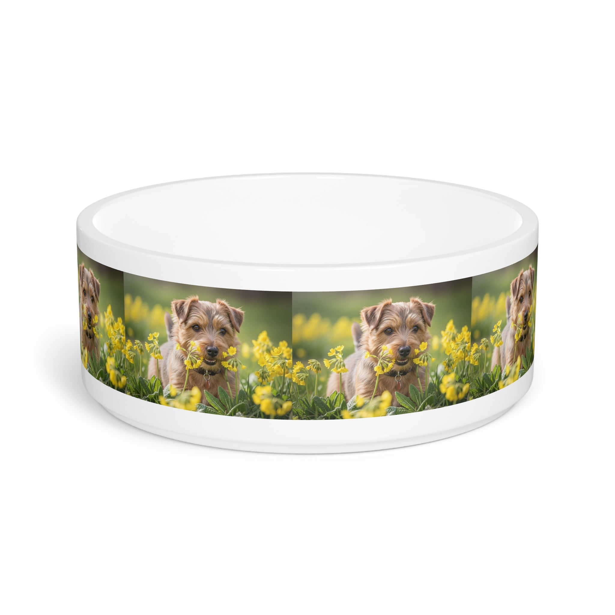 Ceramic Pet Bowl – 16 oz Dog Feeding Bowl