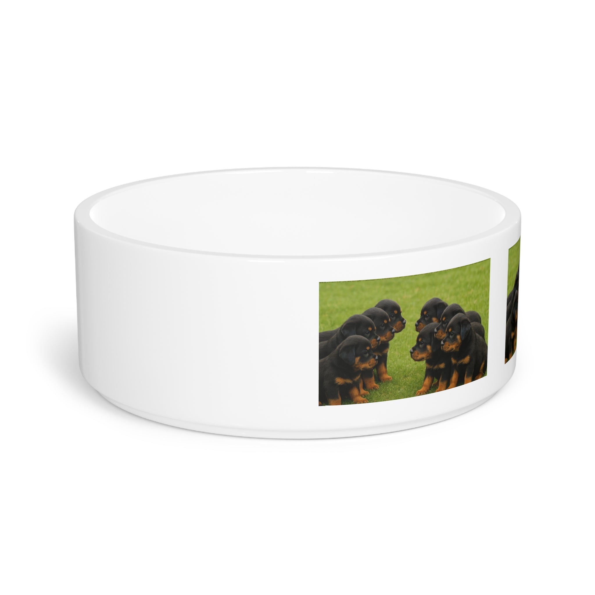 Ceramic Pet Bowl – 16 oz Dog Feeding Bowl