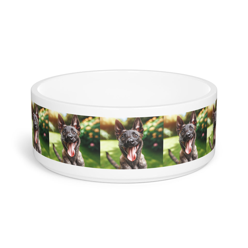 Ceramic Pet Bowl – 16 oz Dog Feeding Bowl