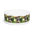 Ceramic Pet Bowl – 16 oz Dog Feeding Bowl