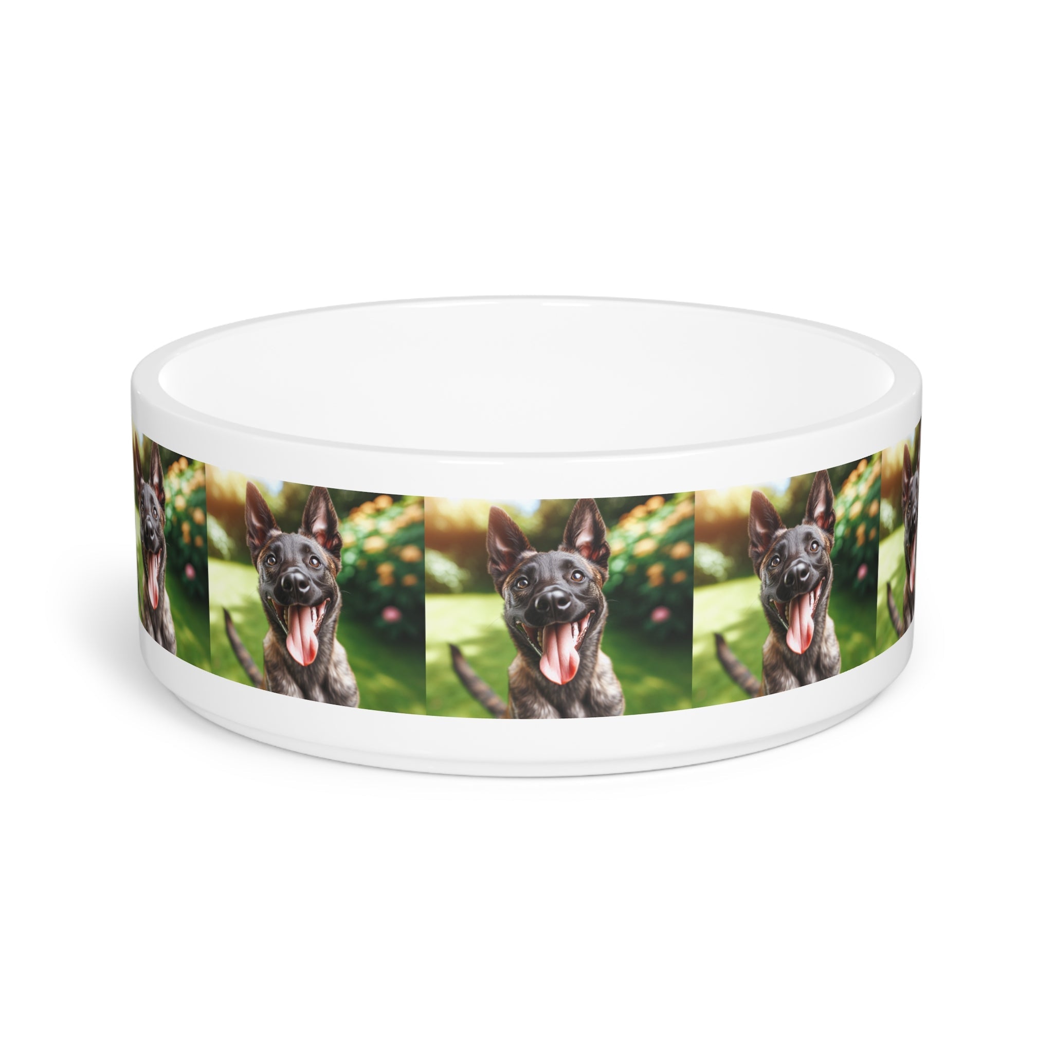 Ceramic Pet Bowl – 16 oz Dog Feeding Bowl