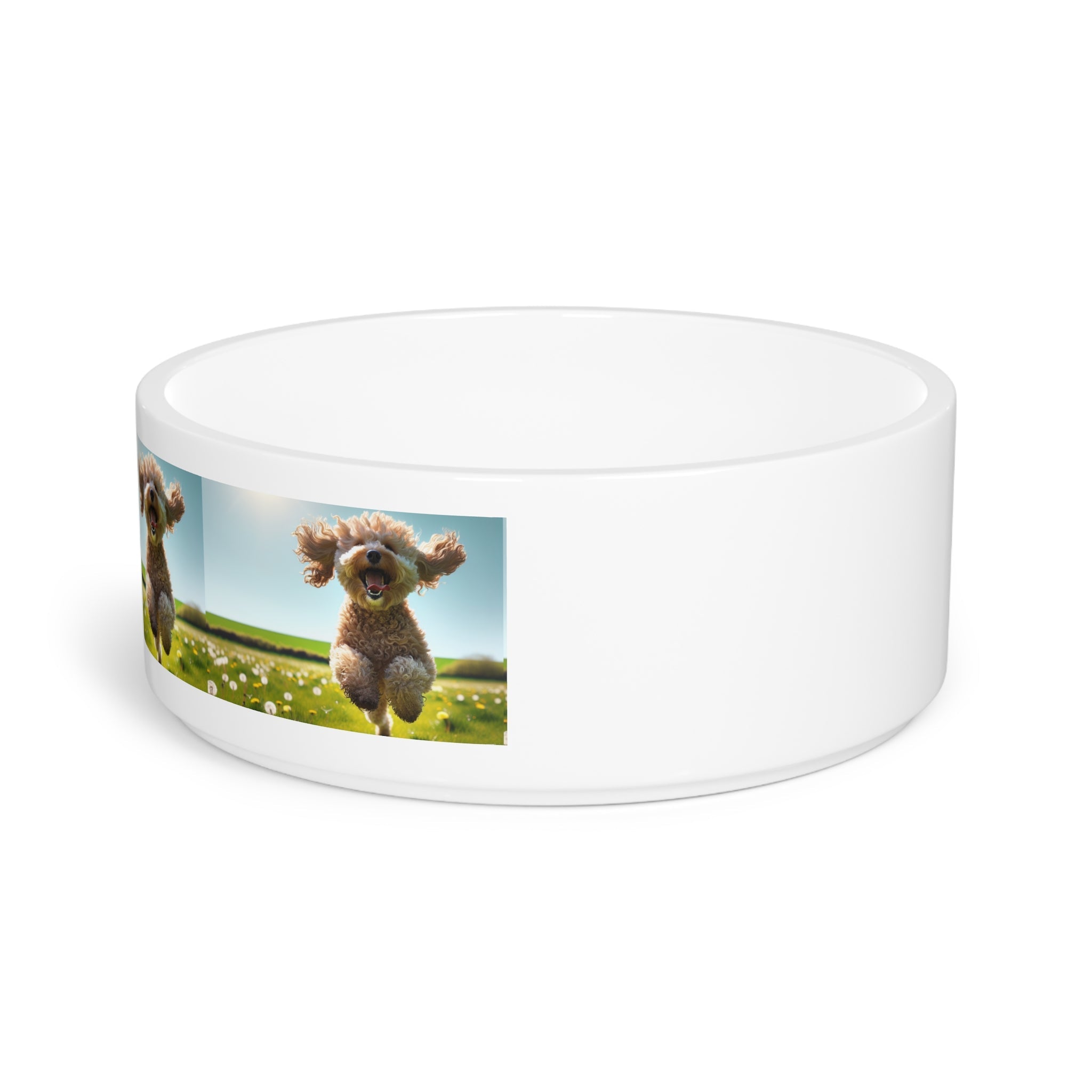Ceramic Pet Bowl – 16 oz Dog Feeding Bowl