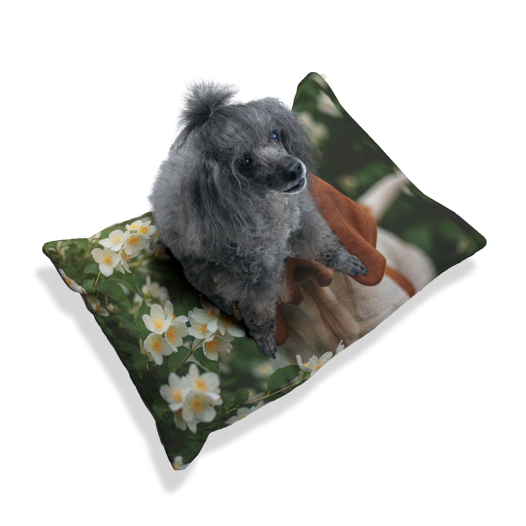 Pet Bed – Plush Dog Bed, 3 Size Options