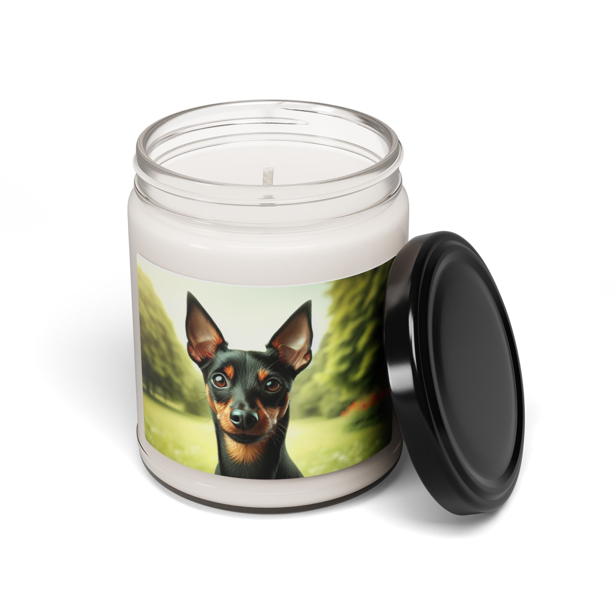 Soy Candle – Scented Jar Candle