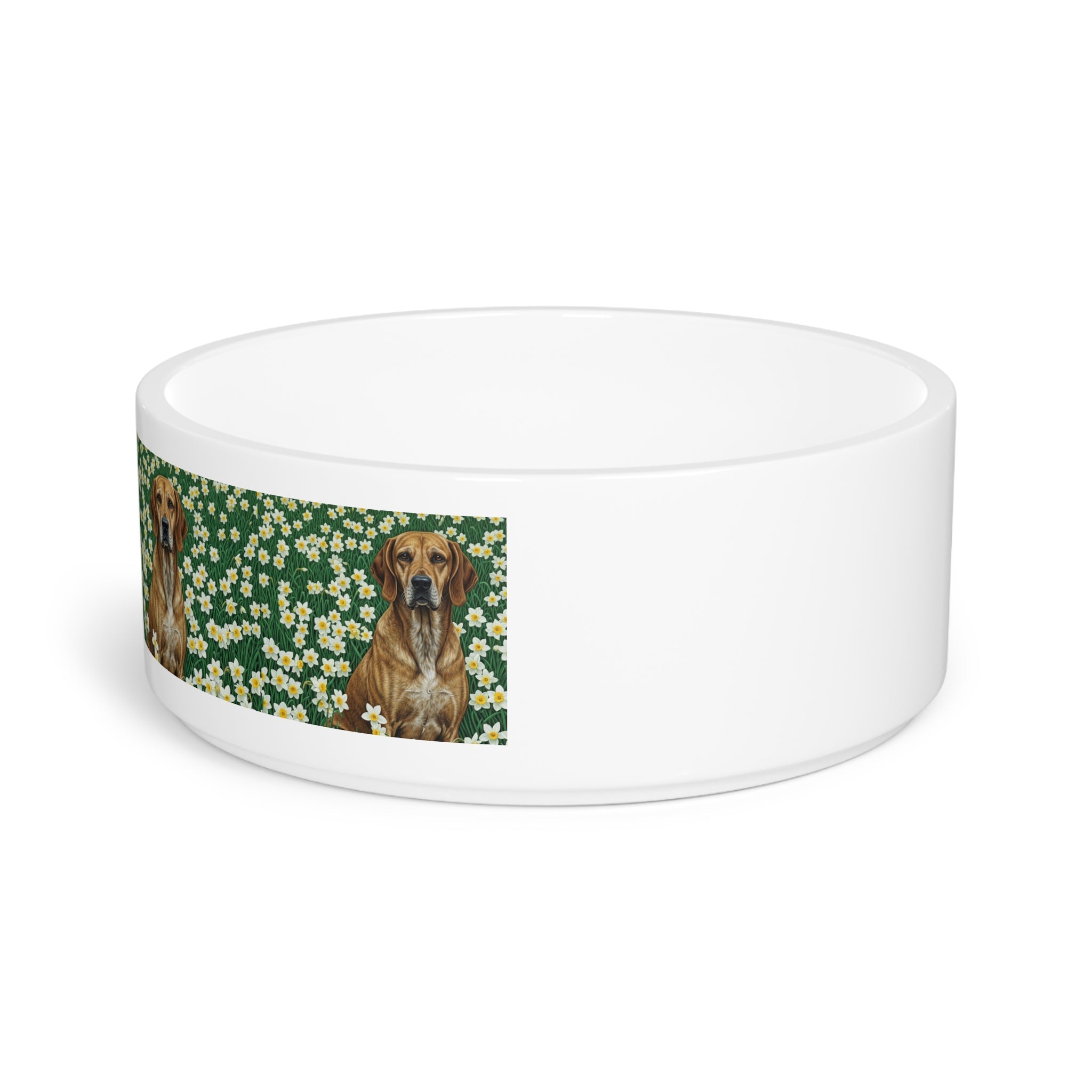Ceramic Pet Bowl – 16 oz Dog Feeding Bowl