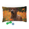Pet Bed – Plush Dog Bed, 3 Size Options