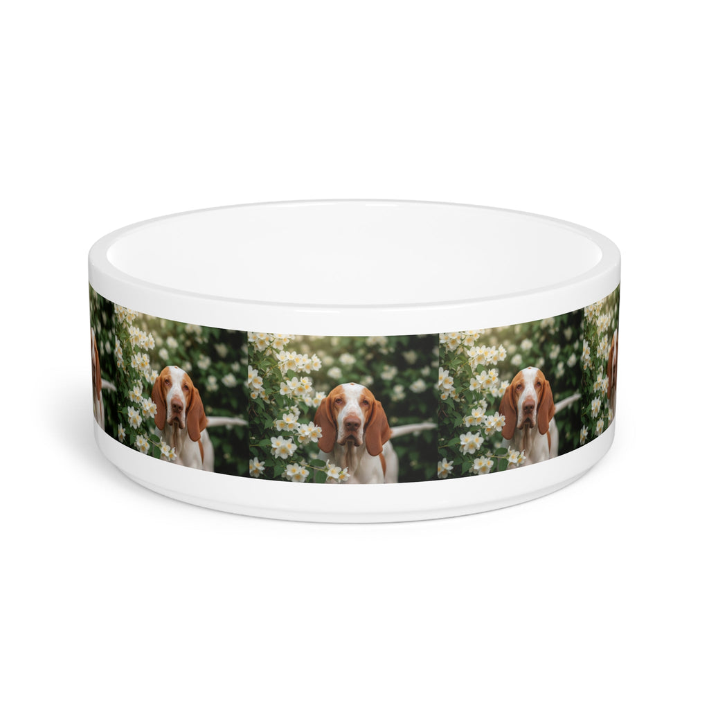 Ceramic Pet Bowl – 16 oz Dog Feeding Bowl