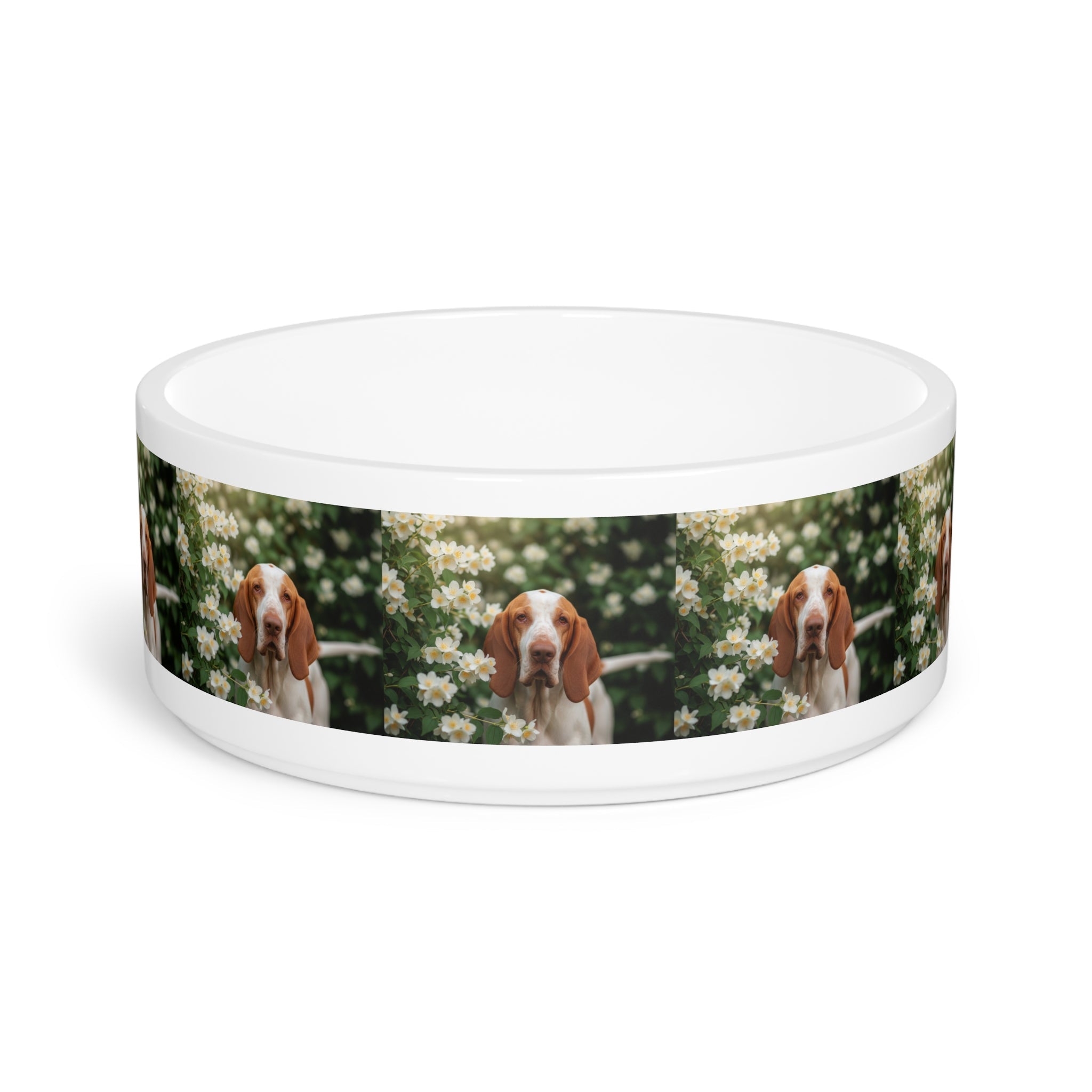 Ceramic Pet Bowl – 16 oz Dog Feeding Bowl