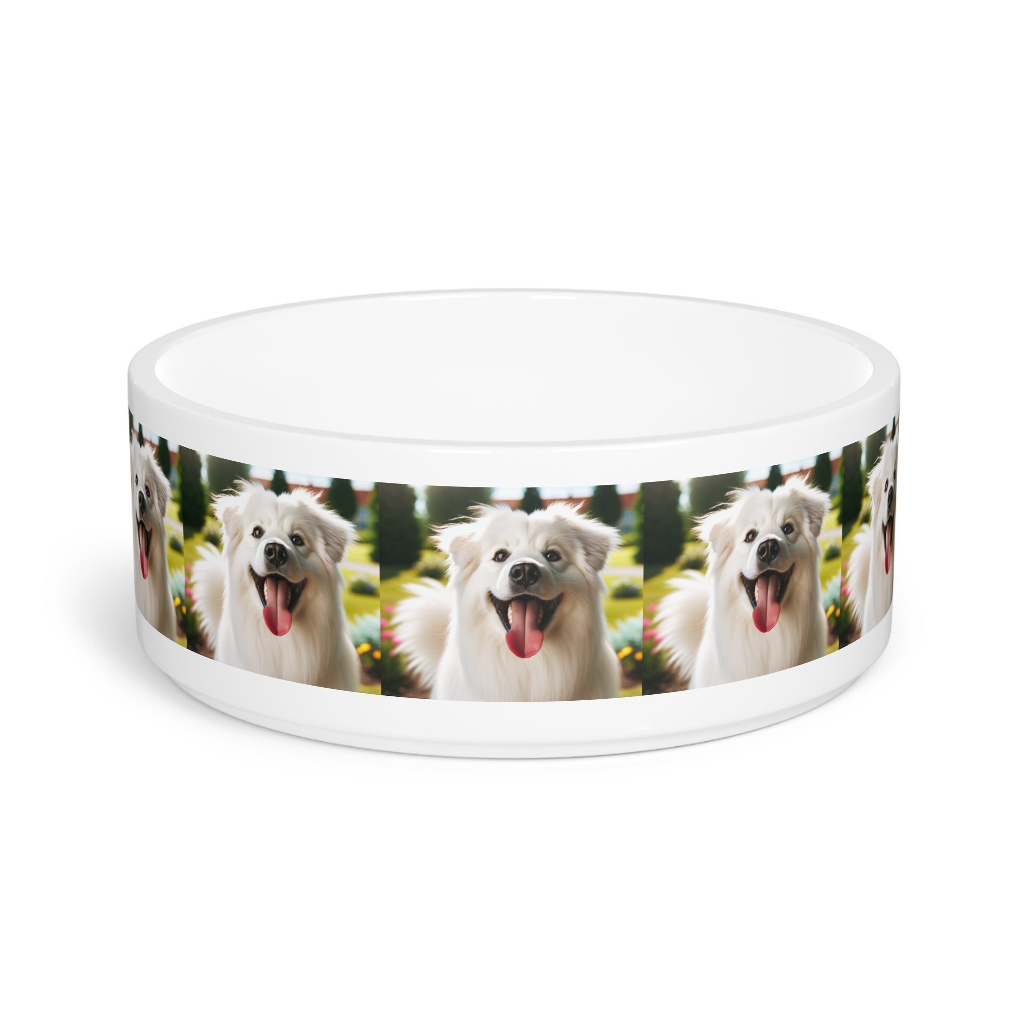 Ceramic Pet Bowl – 16 oz Dog Feeding Bowl