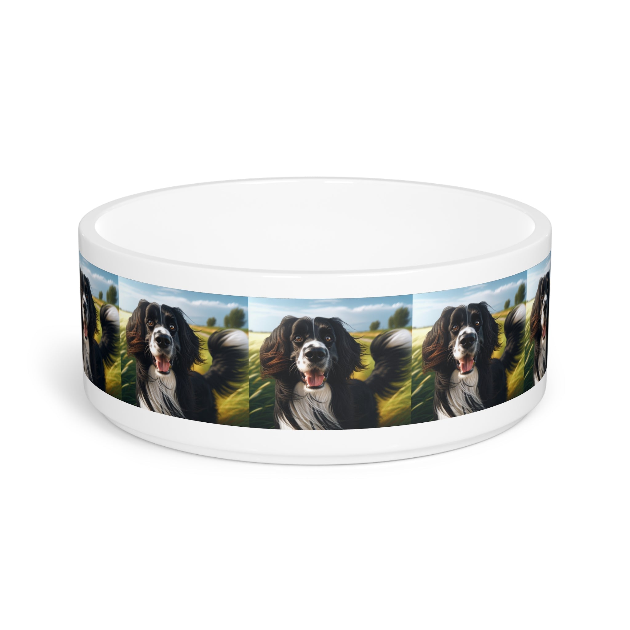 Ceramic Pet Bowl – 16 oz Dog Feeding Bowl