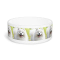 Ceramic Pet Bowl – 16 oz Dog Feeding Bowl