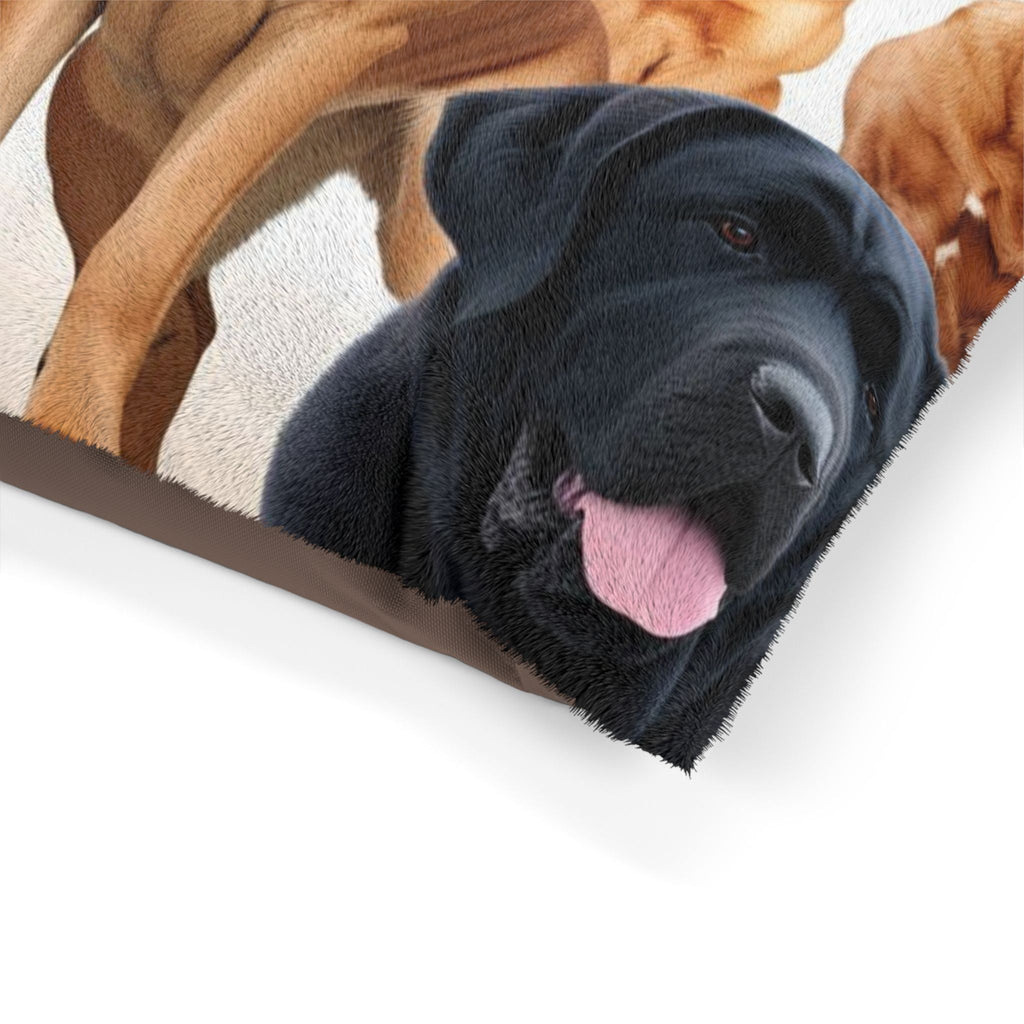 Pet Bed – Plush Dog Bed, 3 Size Options