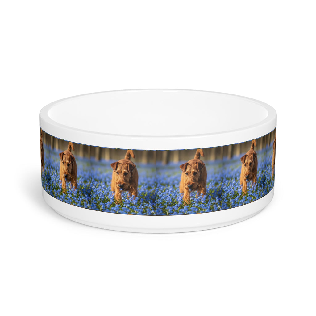 Ceramic Pet Bowl – 16 oz Dog Feeding Bowl