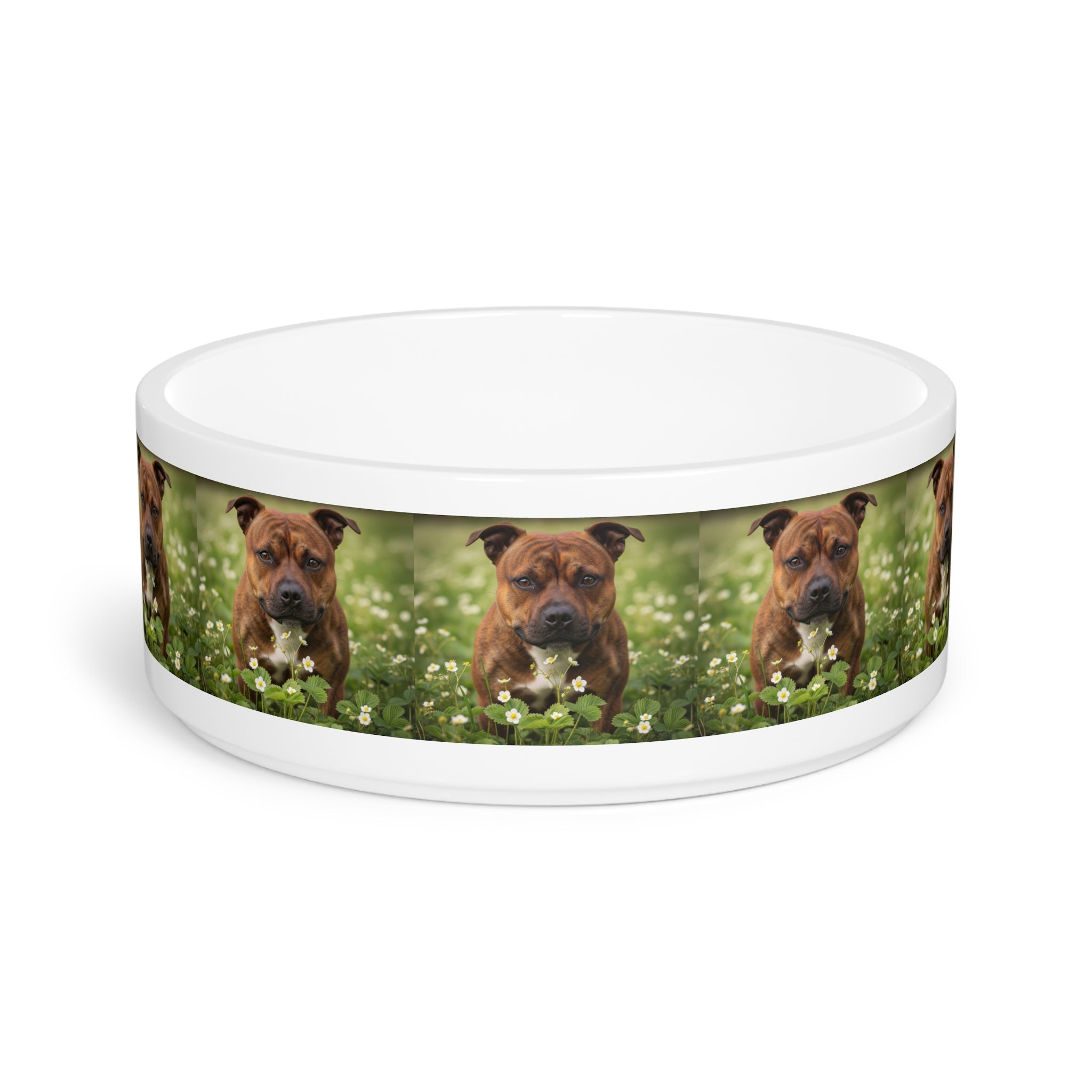 Ceramic Pet Bowl – 16 oz Dog Feeding Bowl
