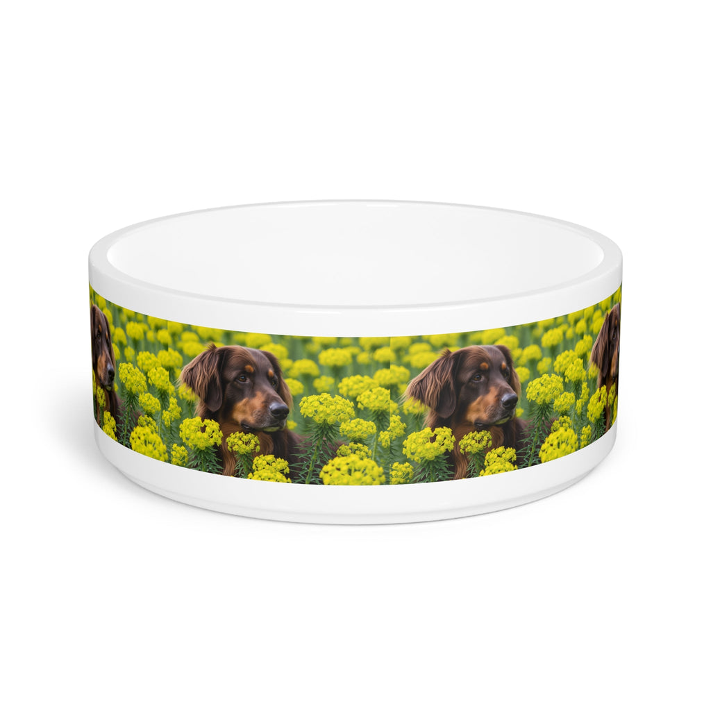 Ceramic Pet Bowl – 16 oz Dog Feeding Bowl