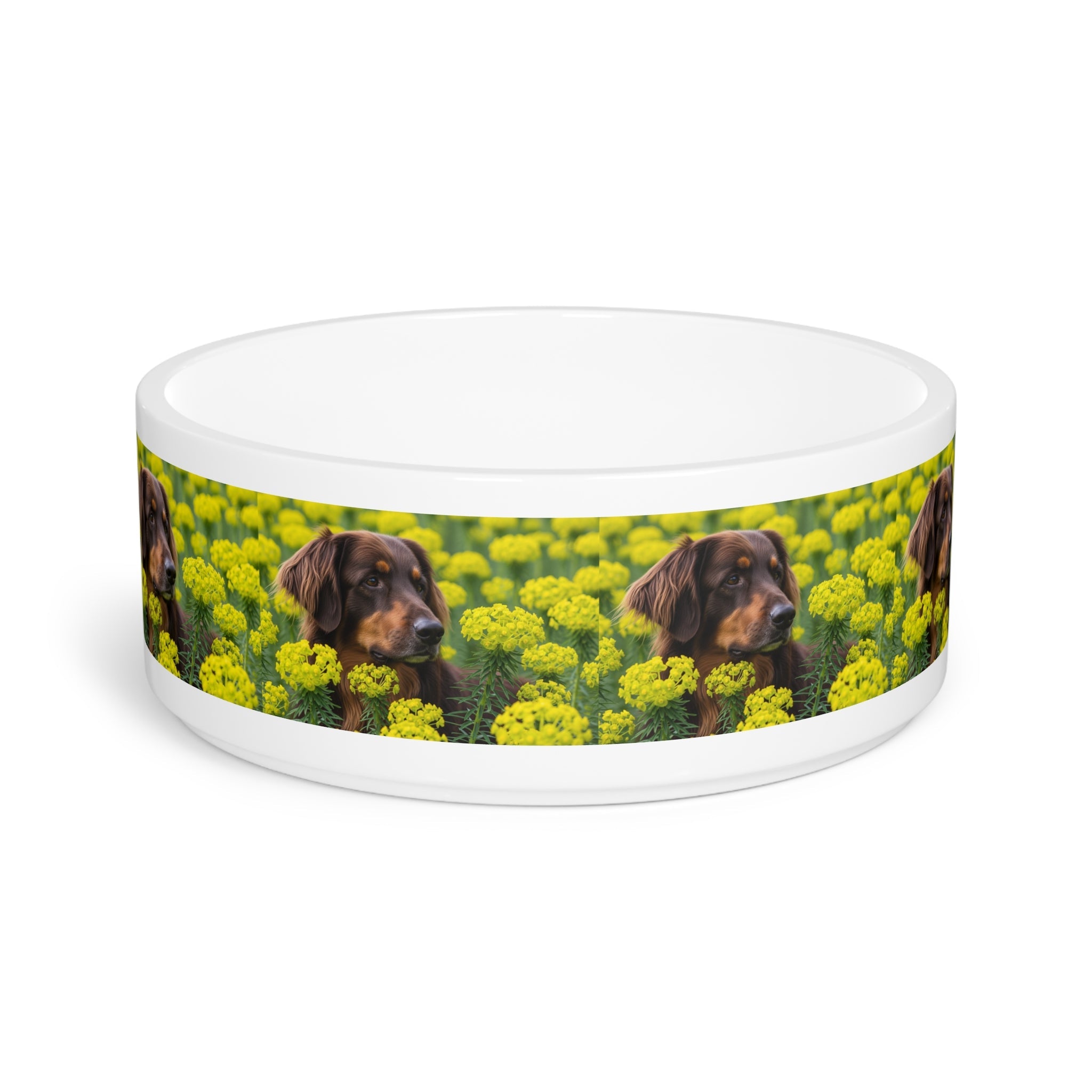 Ceramic Pet Bowl – 16 oz Dog Feeding Bowl