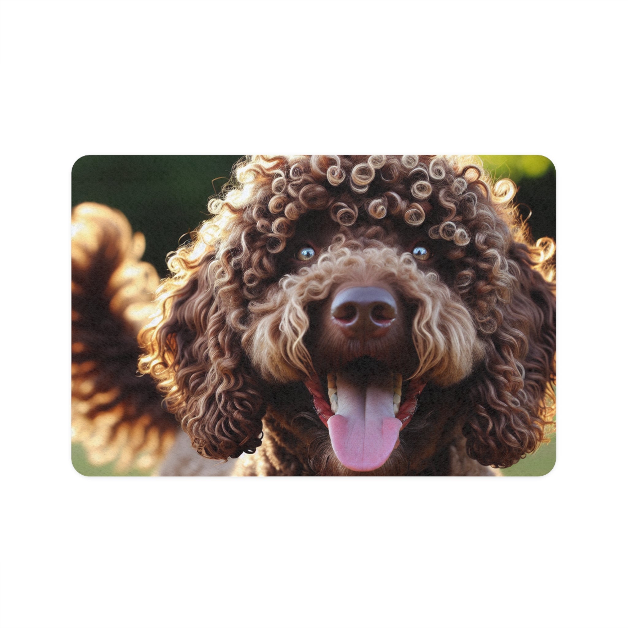 Non-Slip Pet Food Mat – Waterproof Feeding Mat for Dogs