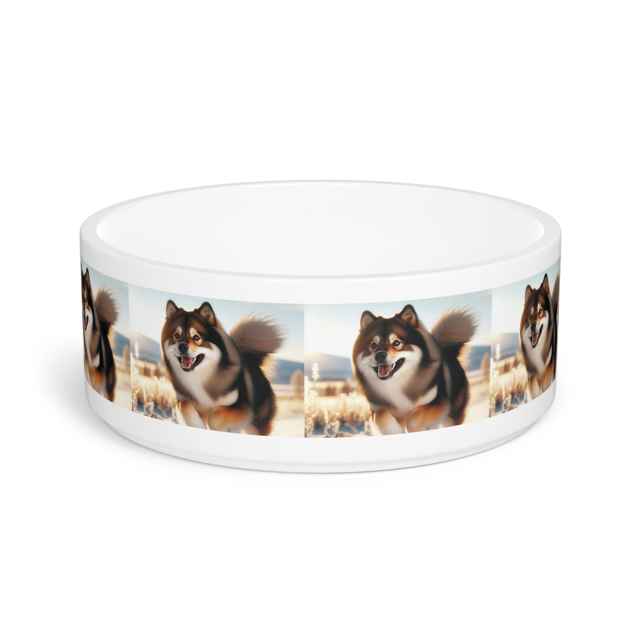Ceramic Pet Bowl – 16 oz Dog Feeding Bowl