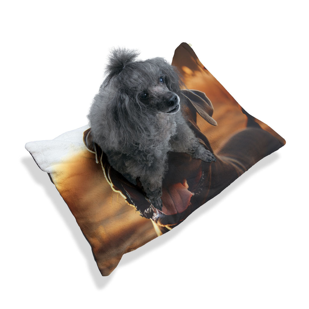 Pet Bed – Plush Dog Bed, 3 Size Options