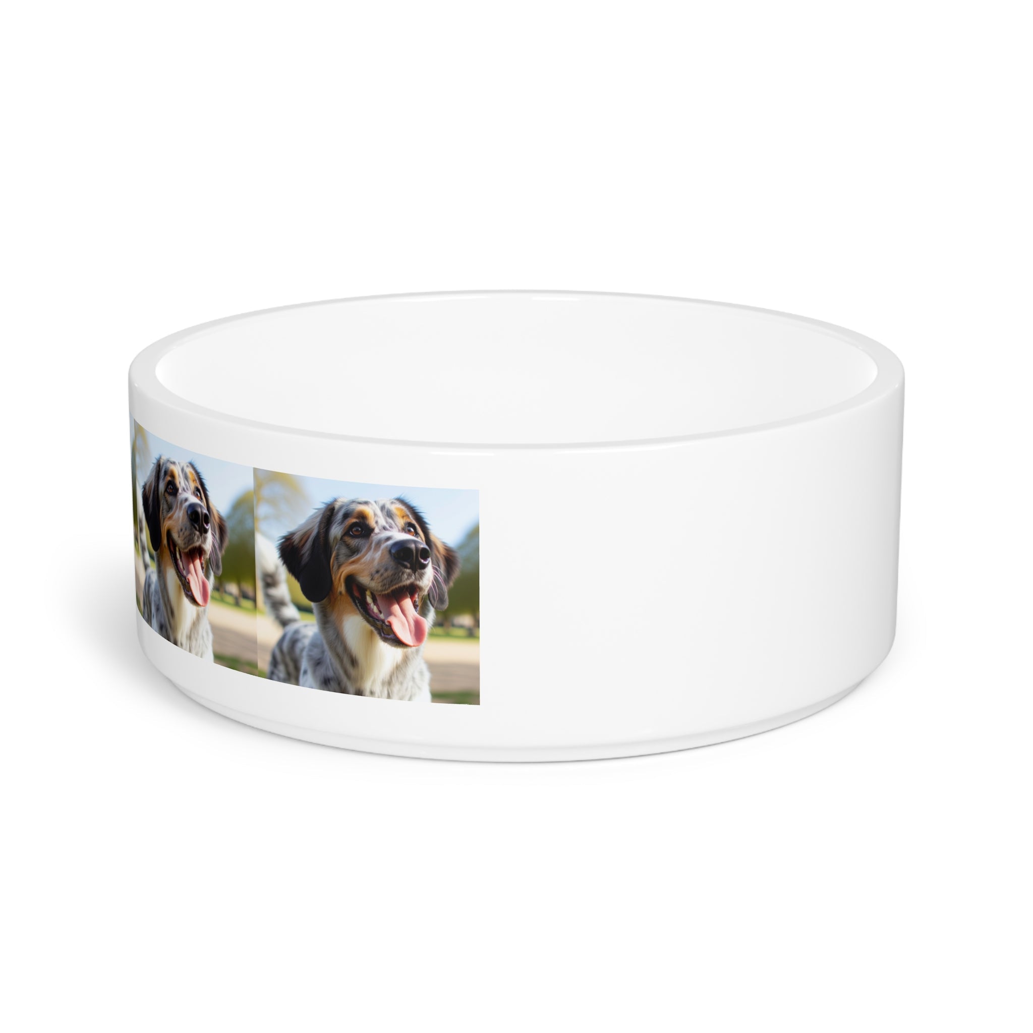 Ceramic Pet Bowl – 16 oz Dog Feeding Bowl