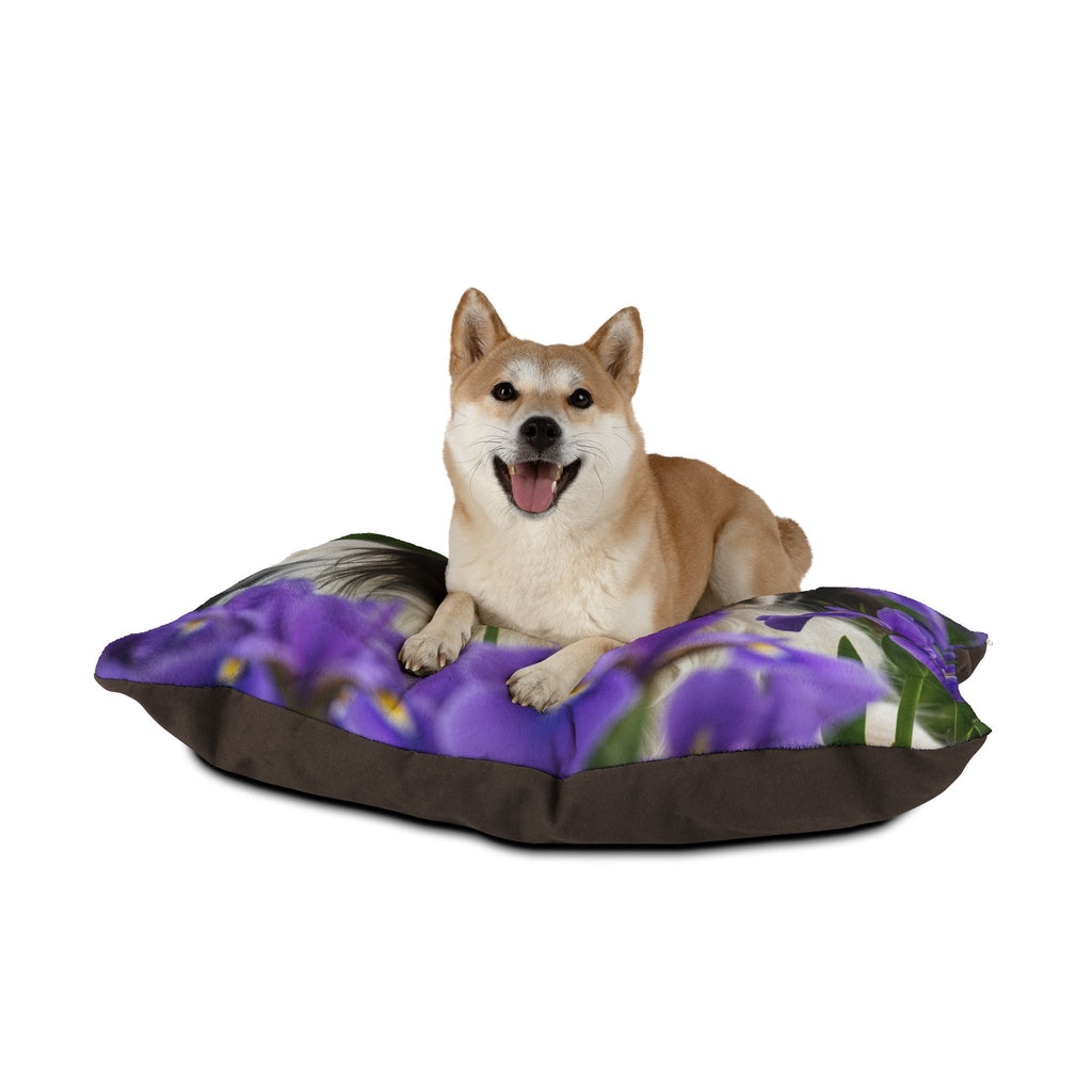 Pet Bed – Plush Dog Bed, 3 Size Options