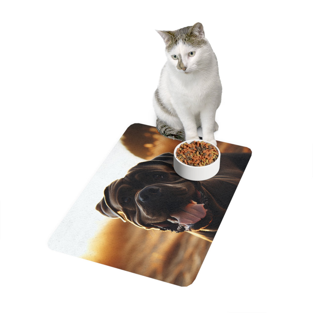 Non-Slip Pet Food Mat – Waterproof Feeding Mat for Dogs