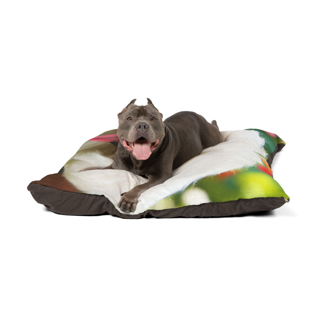 Pet Bed – Plush Dog Bed, 3 Size Options