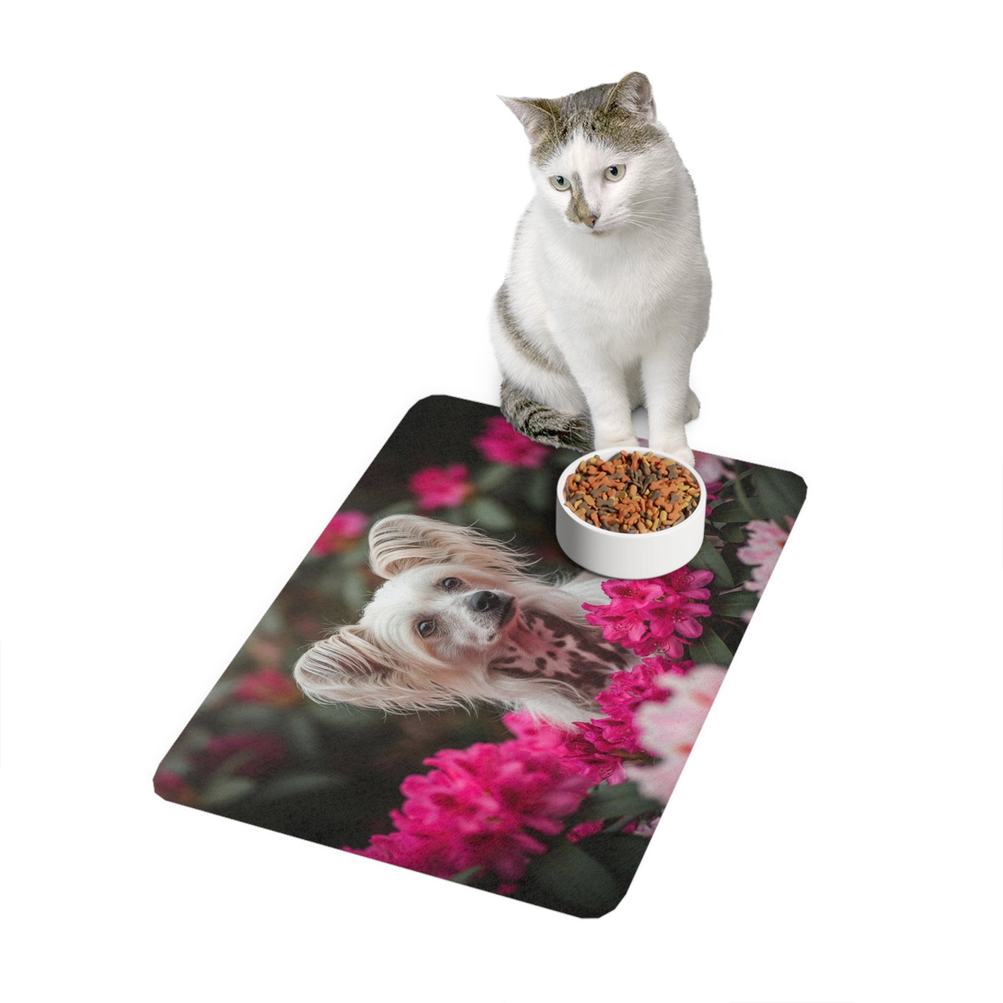 Non-Slip Pet Food Mat – Waterproof Feeding Mat for Dogs