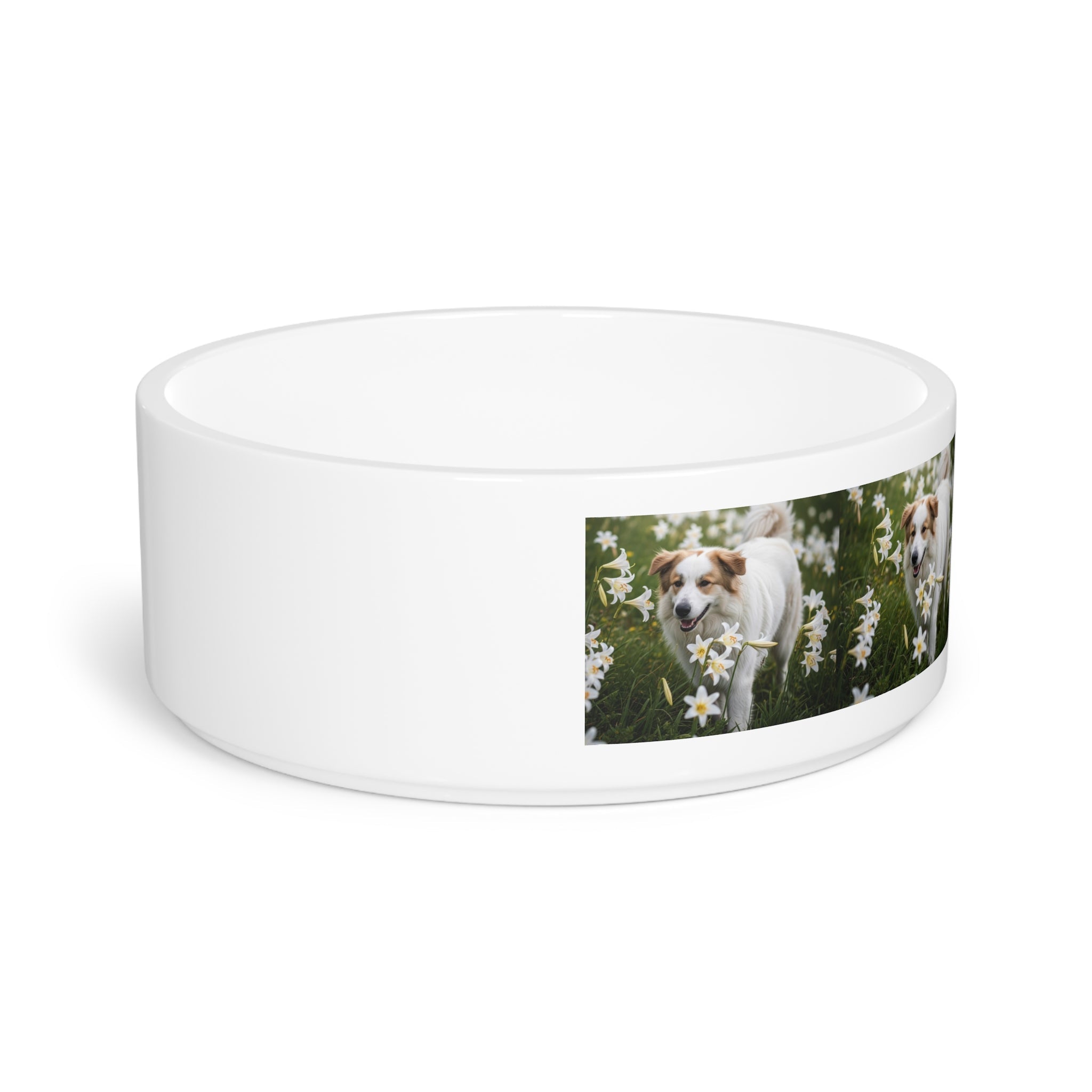 Ceramic Pet Bowl – 16 oz Dog Feeding Bowl