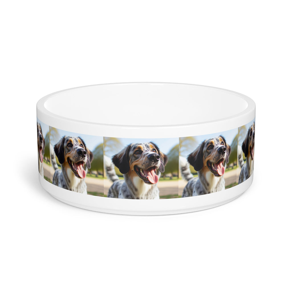 Ceramic Pet Bowl – 16 oz Dog Feeding Bowl