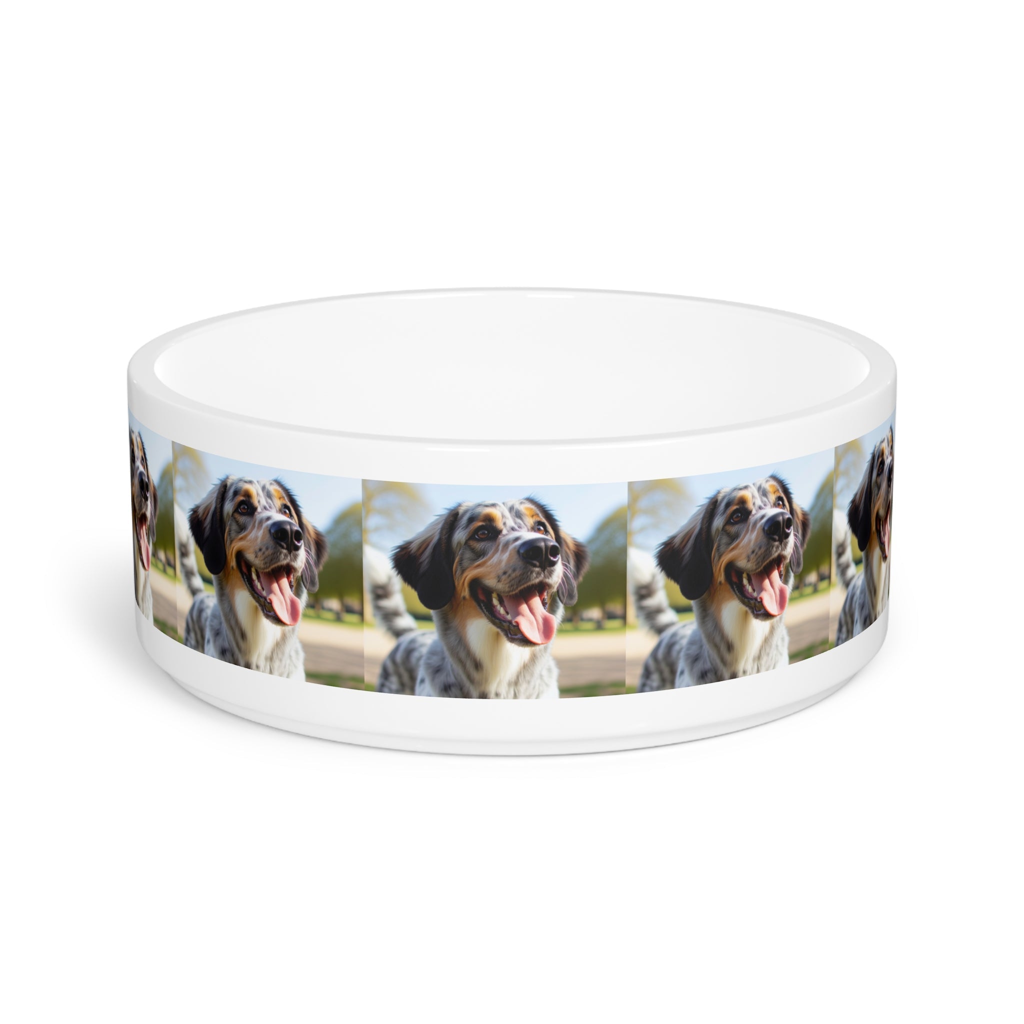 Ceramic Pet Bowl – 16 oz Dog Feeding Bowl