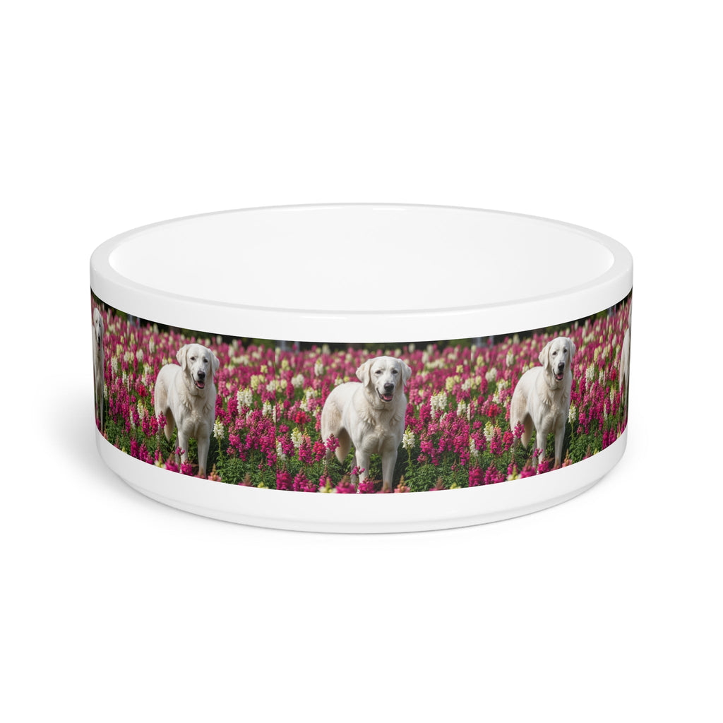 Ceramic Pet Bowl – 16 oz Dog Feeding Bowl