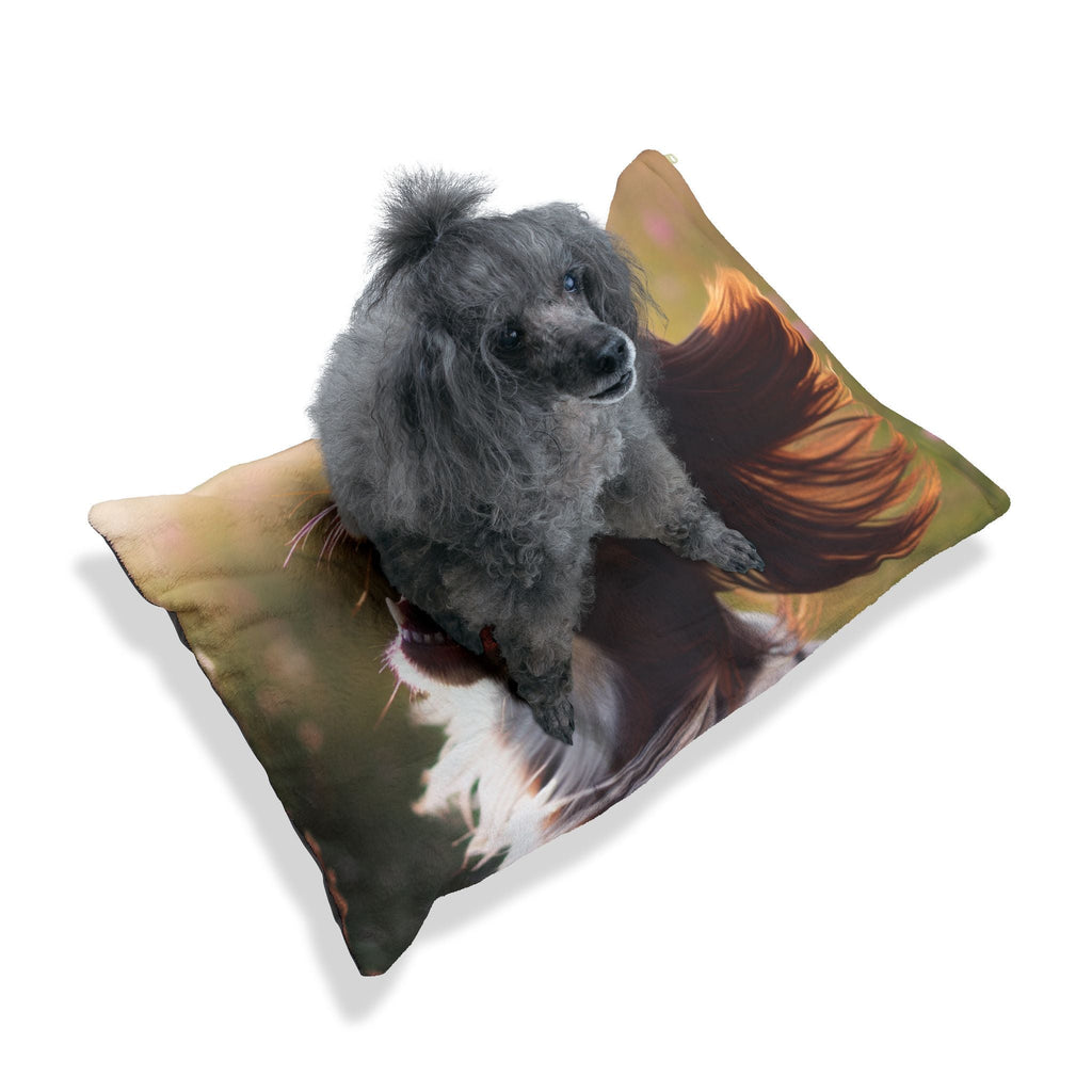 Pet Bed – Plush Dog Bed, 3 Size Options