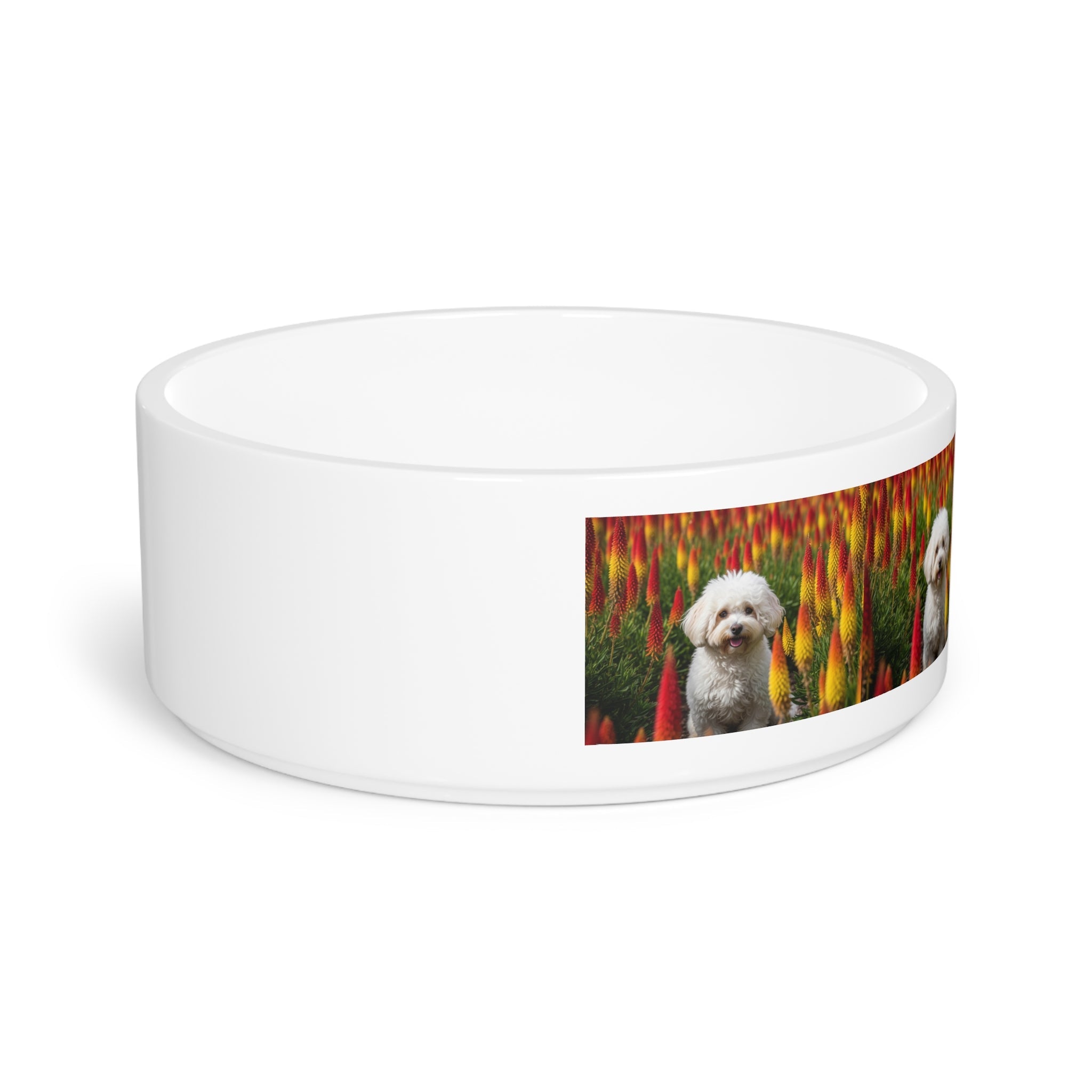 Ceramic Pet Bowl – 16 oz Dog Feeding Bowl