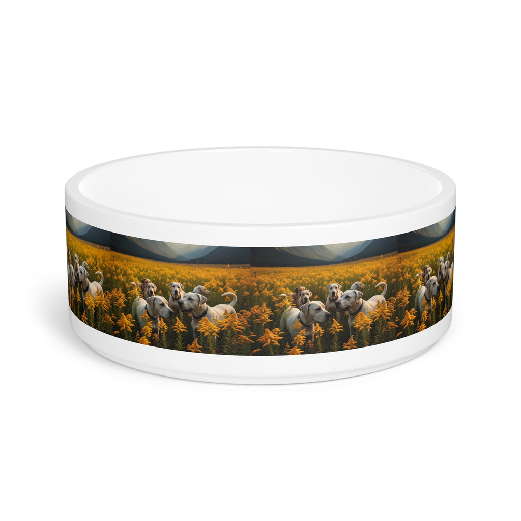 Ceramic Pet Bowl – 16 oz Dog Feeding Bowl