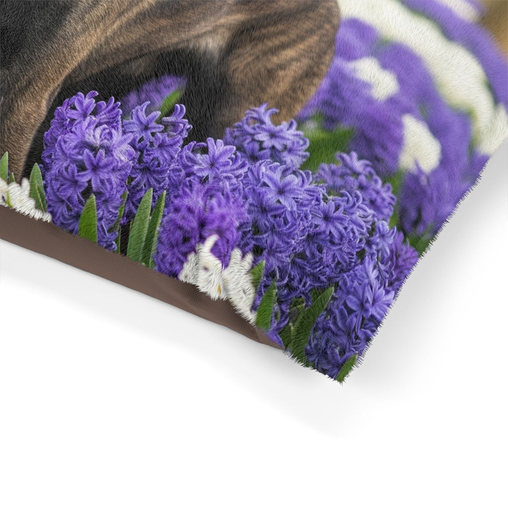 Pet Bed – Plush Dog Bed, 3 Size Options