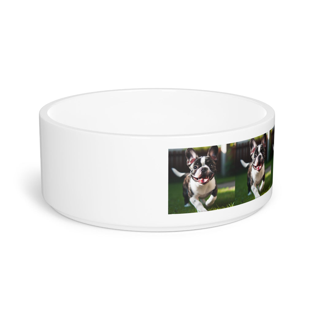 Ceramic Pet Bowl – 16 oz Dog Feeding Bowl
