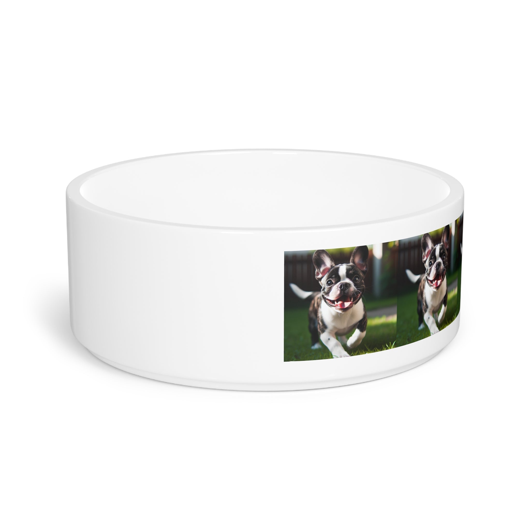 Ceramic Pet Bowl – 16 oz Dog Feeding Bowl