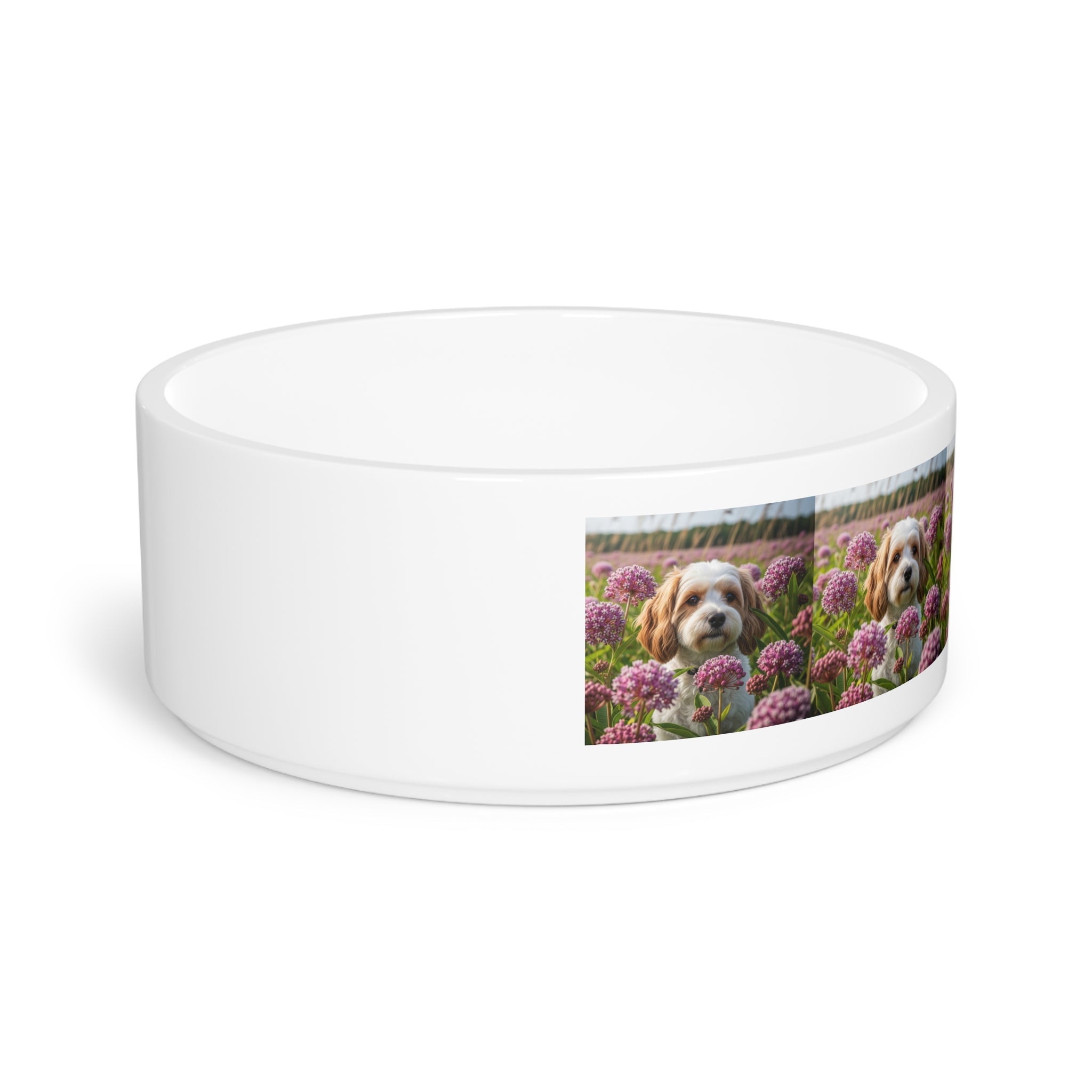Ceramic Pet Bowl – 16 oz Dog Feeding Bowl