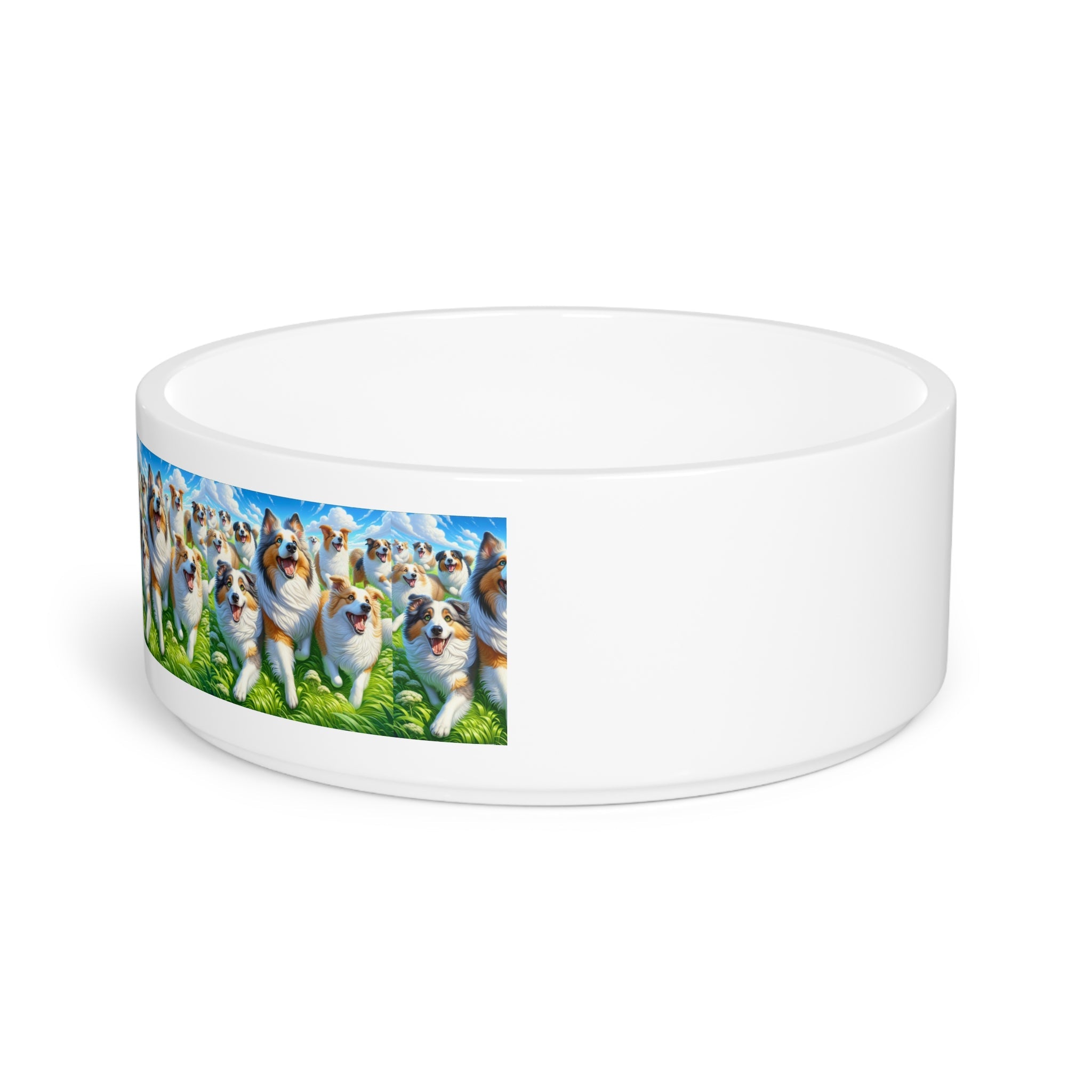 Ceramic Pet Bowl – 16 oz Dog Feeding Bowl