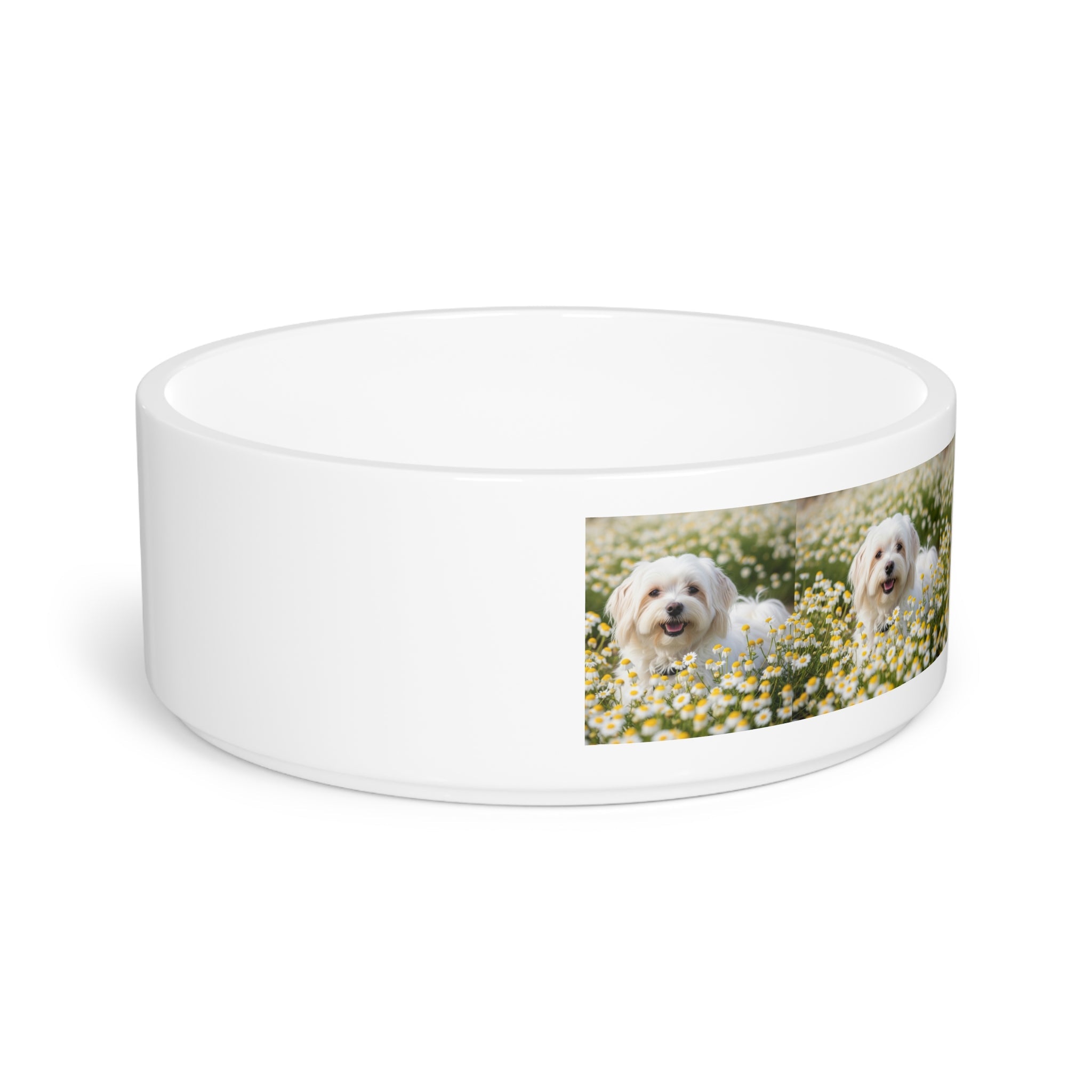 Ceramic Pet Bowl – 16 oz Dog Feeding Bowl