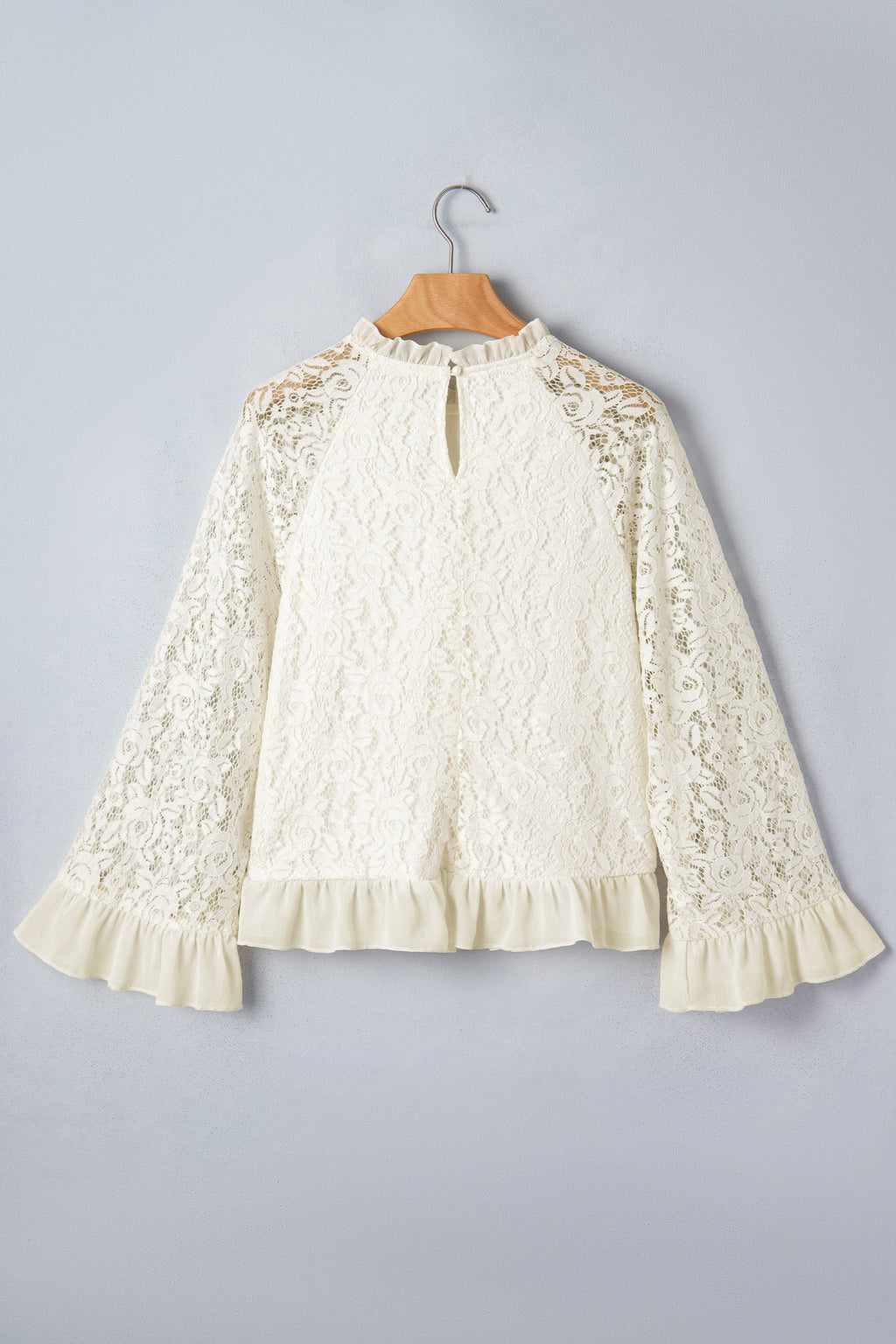 Sheer Lace Ruffle Trim Long Sleeve Blouse