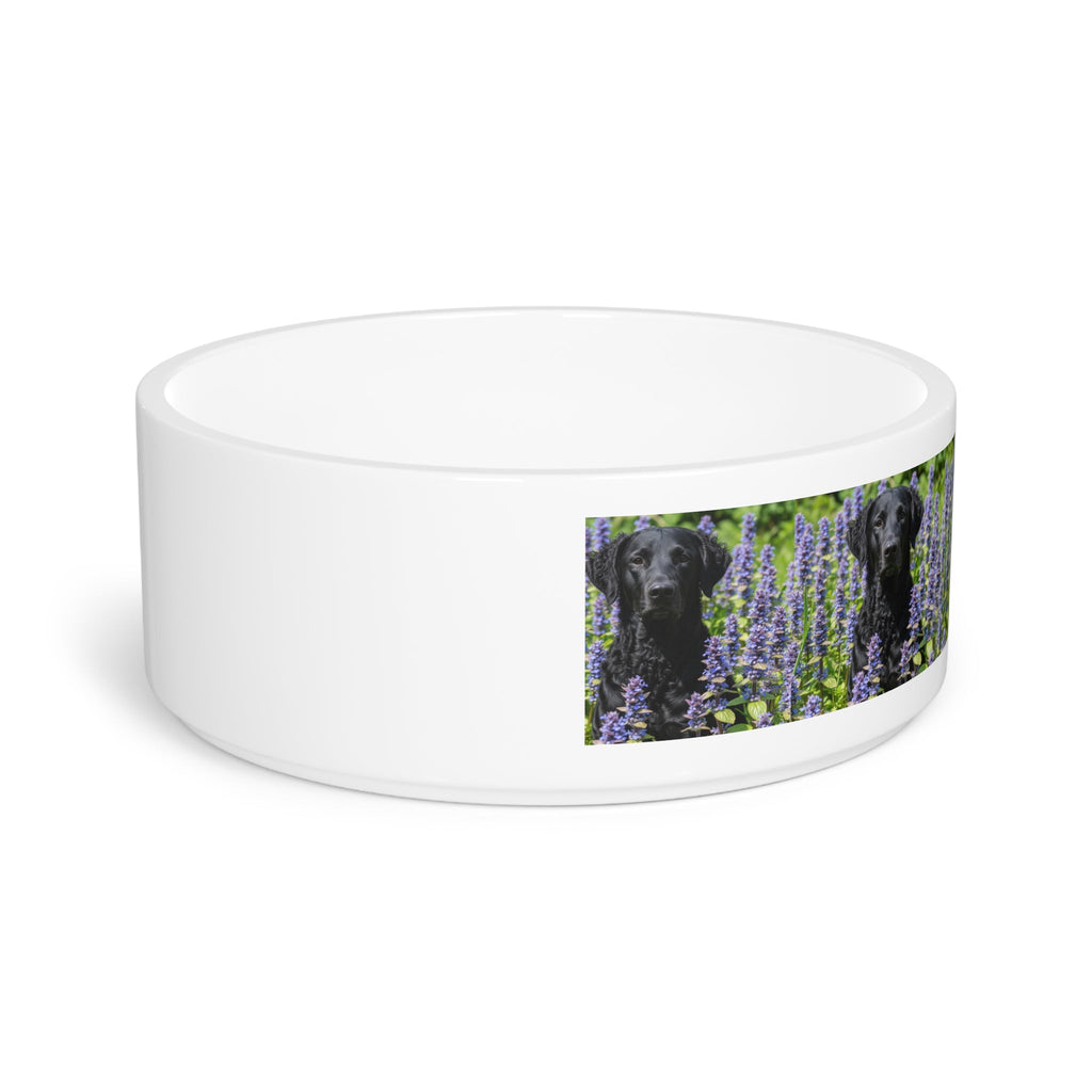 Ceramic Pet Bowl – 16 oz Dog Feeding Bowl